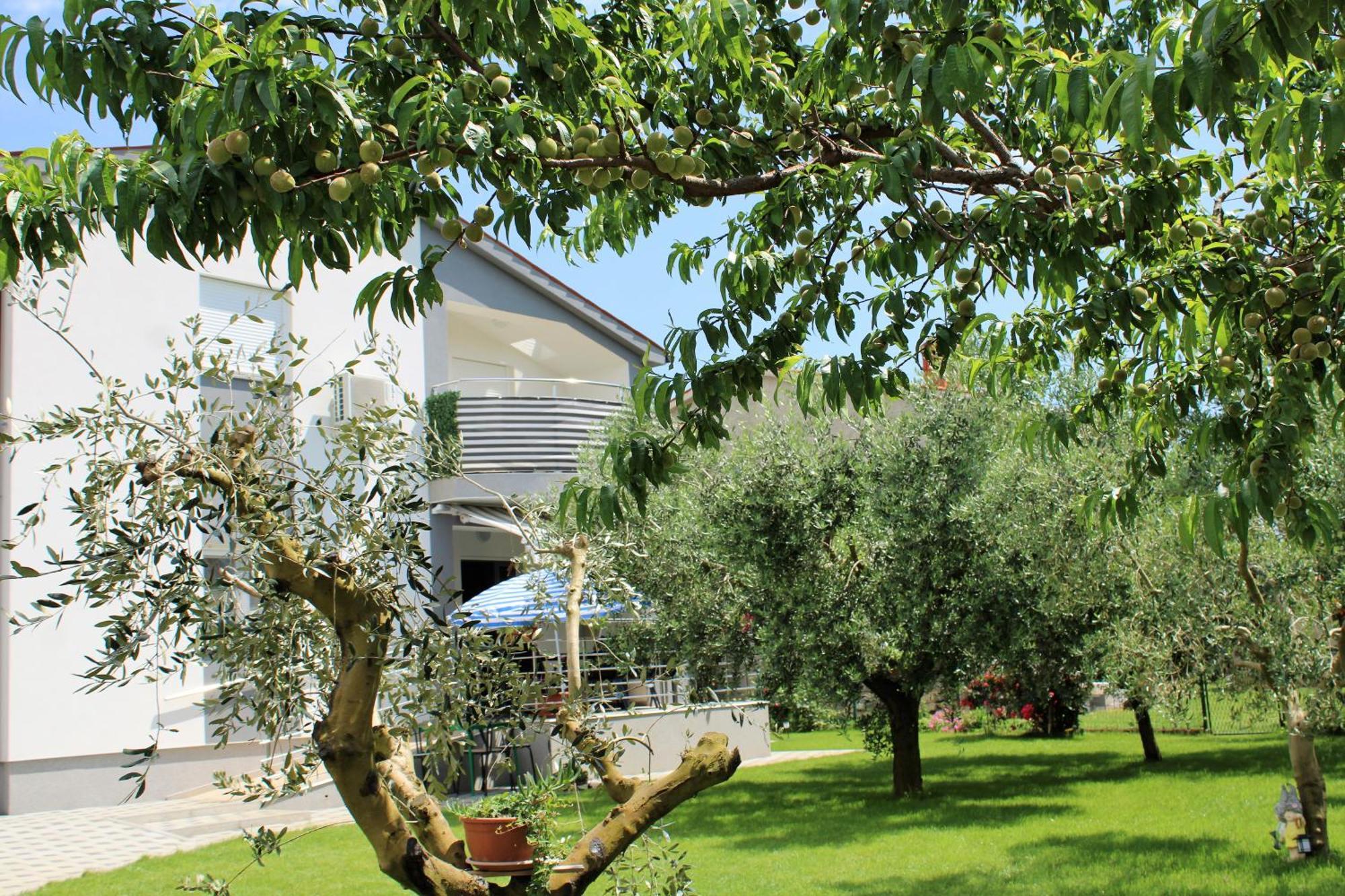 Appartamento Nelle Pola